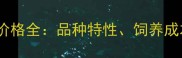 成年拉布拉多价格全品种特性饲养成本与选购技巧