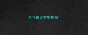 坐飞机能带狗狗吗