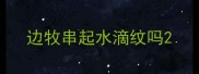 边牧串起水滴纹吗