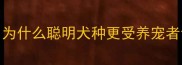 导语为什么聪明犬种更受养宠者青睐