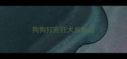 狗狗打完狂犬后呕吐