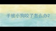 手被小狗咬了怎么办