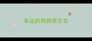 幸运的狗狗英文名
