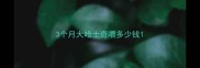 3个月大哈士奇喂多少钱