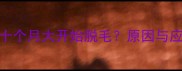 拉布拉多十个月大开始脱毛原因与应对策略全