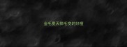 金毛夏天掉毛变的好瘦