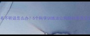 金毛不听话怎么办5个科学训练法让狗狗秒变乖宝宝