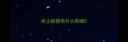 哈士奇都有什么眼睛