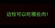 边牧可以吃哪些肉