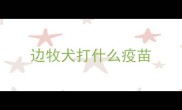 边牧犬打什么疫苗
