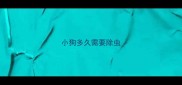 小狗多久需要除虫