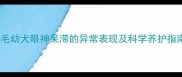 金毛幼犬眼神呆滞的异常表现及科学养护指南