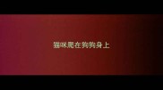 猫咪爬在狗狗身上
