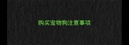 购买宠物狗注意事项