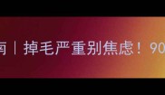 哈士奇换毛期自救指南掉毛严重别焦虑90家长不知道的护理秘籍