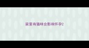 家里有猫咪会影响怀孕