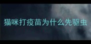 猫咪打疫苗为什么先驱虫
