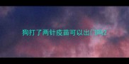 狗打了两针疫苗可以出门吗