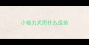 小格力犬用什么疫苗