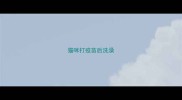 猫咪打疫苗后洗澡