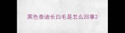 黑色泰迪长白毛是怎么回事