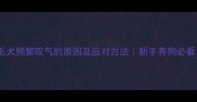 金毛犬频繁叹气的原因及应对方法新手养狗必看