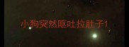 小狗突然呕吐拉肚子