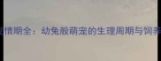 豚鼠发情期全幼兔般萌宠的生理周期与饲养指南