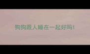 狗狗跟人睡在一起好吗