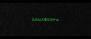 边牧幼犬喜欢吃什么