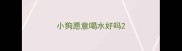小狗愿意喝水好吗