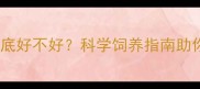 拉布拉多体质到底好不好科学饲养指南助你避开常见误区