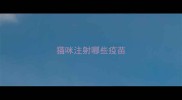 猫咪注射哪些疫苗