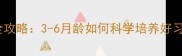 弓背犬幼犬训练全攻略3-6月龄如何科学培养好习惯幼犬必看