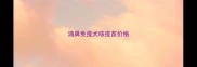 滴鼻免疫犬咳疫苗价格