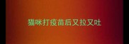 猫咪打疫苗后又拉又吐