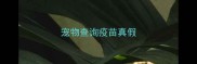 宠物查询疫苗真假