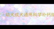 泰迪补钙必看干货幼犬成犬通用科学补钙指南附产品清单