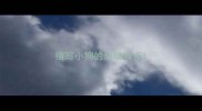 描写小狗的活动特点