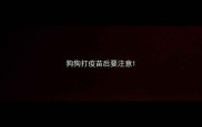 狗狗打疫苗后要注意