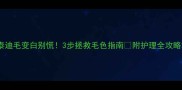 泰迪毛变白别慌3步拯救毛色指南附护理全攻略