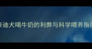 泰迪犬喝牛奶的利弊与科学喂养指南