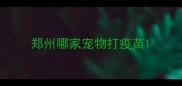 郑州哪家宠物打疫苗