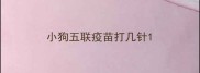 小狗五联疫苗打几针