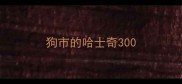 狗市的哈士奇300