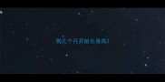 狗几个月开始长身高