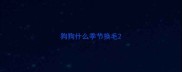 狗狗什么季节换毛