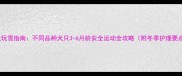 幼犬玩雪指南不同品种犬只3-6月龄安全运动全攻略附冬季护理要点