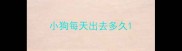 小狗每天出去多久