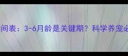 狗狗成年时间表3-6月龄是关键期科学养宠必看指南